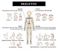 Real Full Silicone 163cm Skeleton Sex Love Doll Supplier Lifelike full body Sex Doll Pussy Realistic Rubber Dolls Sex Toys invented by automaticwoman
